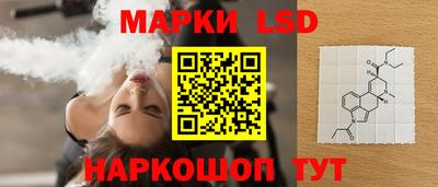 СК Новодвинск
