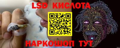 СК Новодвинск