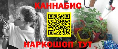 СК Новодвинск