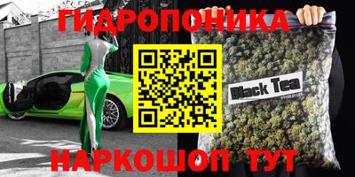 СК Новозыбков