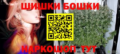 СК Новозыбков