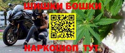СК Новодвинск