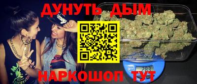 СК Новодвинск