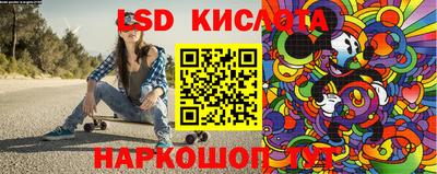 СК Новозыбков