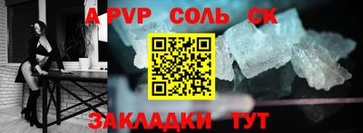 СК Новодвинск