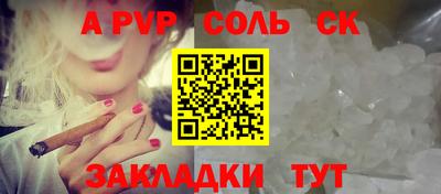 СК Новодвинск