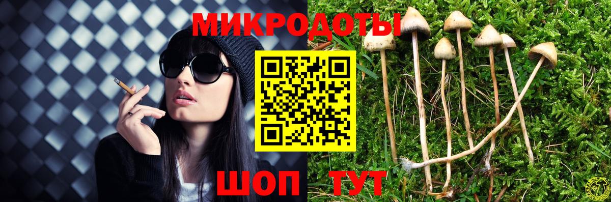 Псилоцибиновые грибы мицелий Сердобск